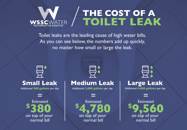 cost of toilet leak