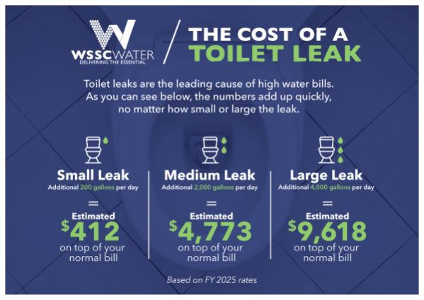 Toilet Leaks