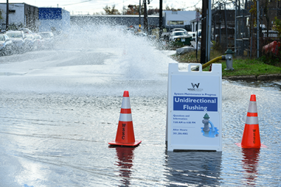 unidirectional flushing sign on location at project